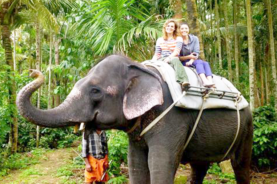 Elephant Safari scenic jeep safari